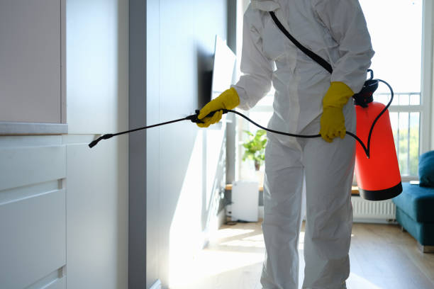 Best HVAC Mold Remediation in Lake Lotawana, MO